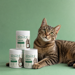 Fluffy Probiotic Chews
